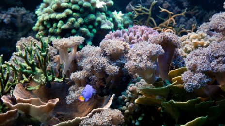 Светът преминава през климатични преломни точки по-рано от очакваното 