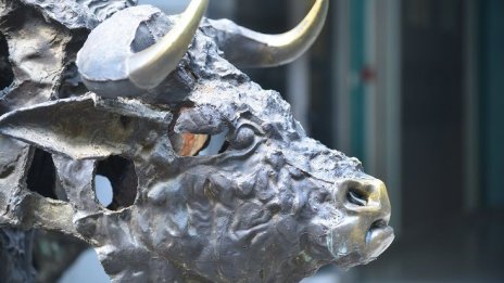 Акция на седмицата: "Неохим" АД