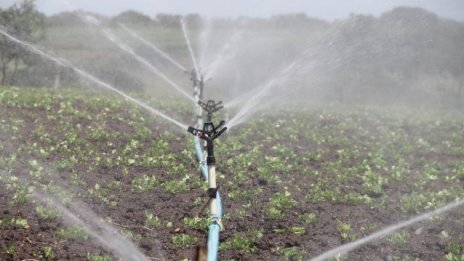 Косьо Стойчев: ЕС иска да счупи саксията, в която отгледа земеделието