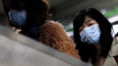 Китай създаде опасен хибриден вирус на птичия грип