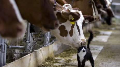 ЕК предлага подкрепа за фермерите, пострадали от сушата