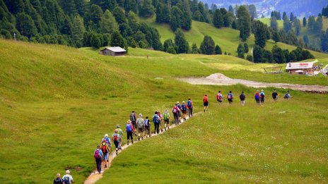 Ученически екскурзии ще могат да се организират само с културно-образователна цел