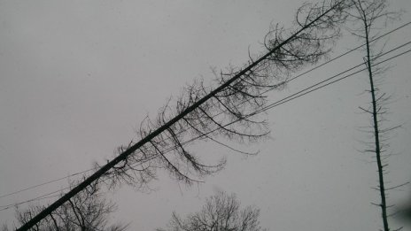 Електроразпределителните дружества са изправени пред нови предизвикателства