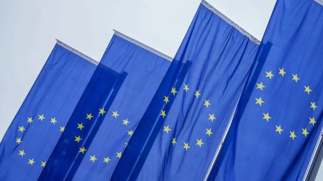 Ролята на ЕС в новия свят: съюзник, мост или сила?