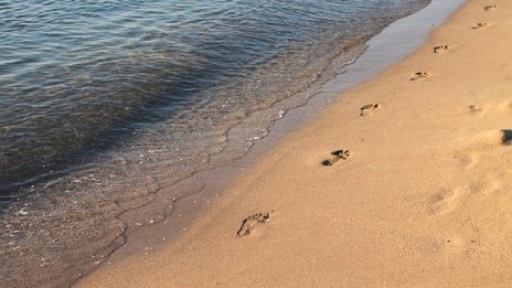 Пречиствателната станция на "Златни пясъци" ще бъде модернизирана до 2 г.