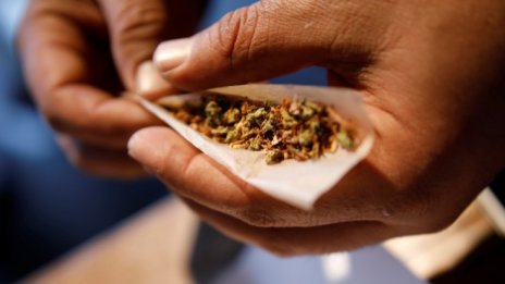 Европа ли е следващият голям пазар на марихуана?