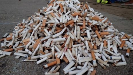 Доброволци почистиха Централния плаж във Варна