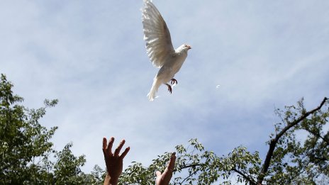 Краят на мирния дивидент след Студената война