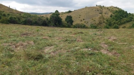 „Елана Агрокредит“ договори кредит до 15 млн. лв. при лихва от 2,2% до 2,79%