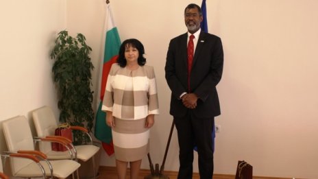 Т. Петкова: Атомните електроцентрали са гарантът за енергийна сигурност