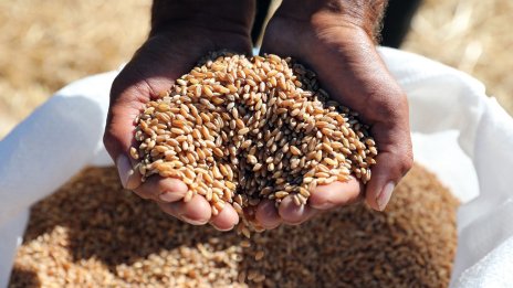 Зърнената сделка между Русия и Украйна е удължена, но неясно с колко дни