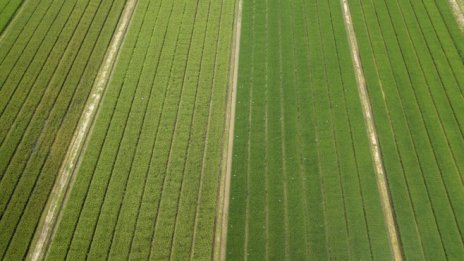 458 млн. евро по ПРСР ще се насочат към млади и малки стопани