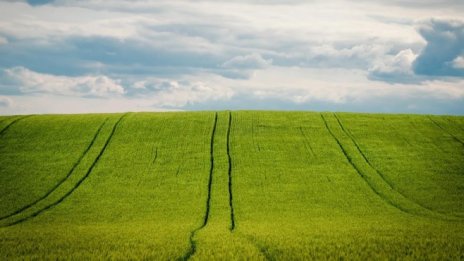 По 133 лева на хектар е субсидията за зелените директни плащания