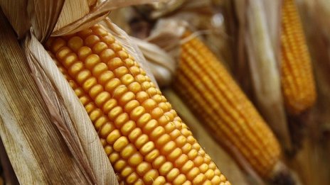 Службата за съвети в земеделието обучи над 5200 фермери