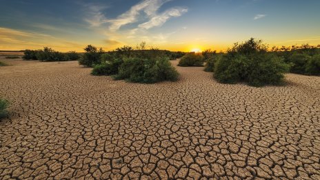 ООН: Една трета от земната площ е деградирала от ерозия и изчерпване на хранителните вещества