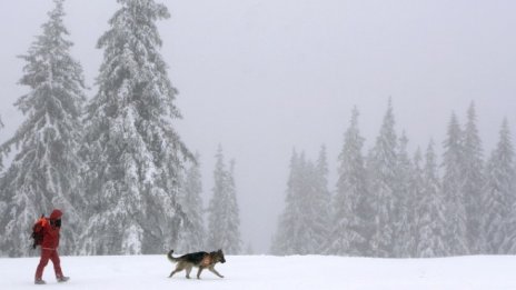 Завихри се спор около стопанисването на лифтовете на Витоша