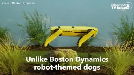 Гепарди роботи преминават тестове в МIТ