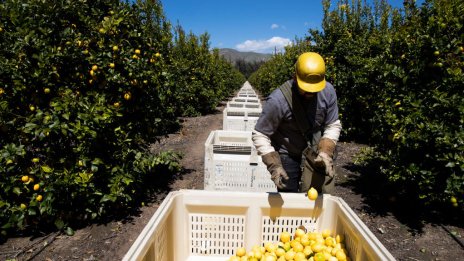 Как се създава мотивация за завръщане на българите от чужбина
