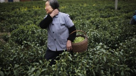 Китайските семейства стават все по-малки и все по-стари