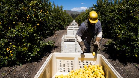 Улесняват процедурите за наемане на безработни у нас