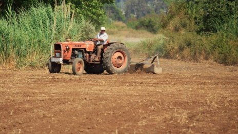 Великобритания увеличава четири пъти квотата за сезонни работници
