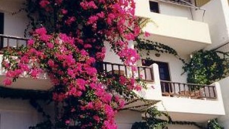 Гръцки медии: „Чуждестранни ястреби“ дебнат пазара на имоти в Гърция