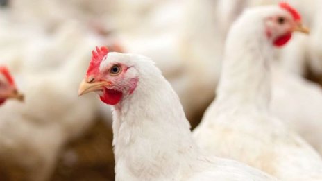 „Градус“ АД е изкупило обратно 0,06% от капитала си през миналата седмица