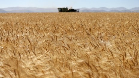 Зърнопроизводителите на протест срещу наредбата на МФ след 20 юли