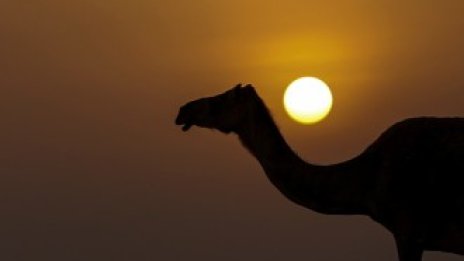 Кадър на деня за 13 юли