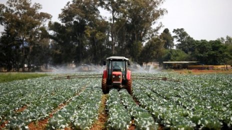 До месец ще бъдат изплатени компенсации на земеделци заради градушките
