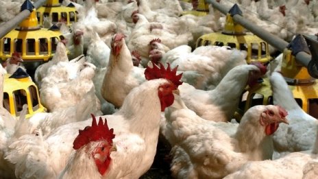 Градус отчита спад на консолидираните продажби и печалба заради коронавируса