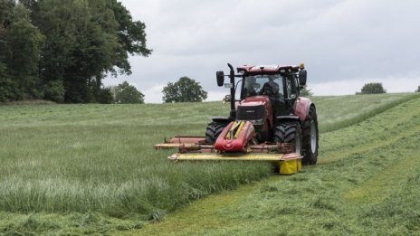 Британските фермери изпитват недостиг на работна ръка заради Brexit