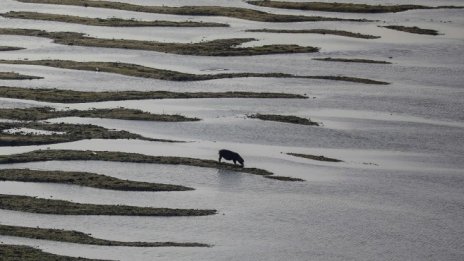 Изкуствен интелект ще прогнозира водните конфликти по света