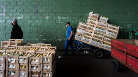 Бразилската икономическа активност рязко се повиши през януари