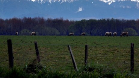 Monsanto загуби дългогодишно дело за щети във Франция
