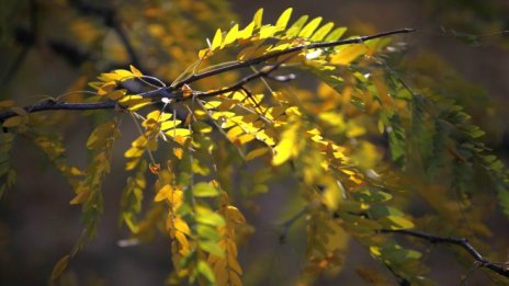 Още тази сряда човечеството ще е изчерпало ресурсите на планетата за 2018 г.