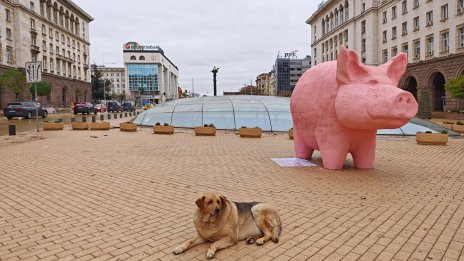 Кадър на деня за 27 ноември