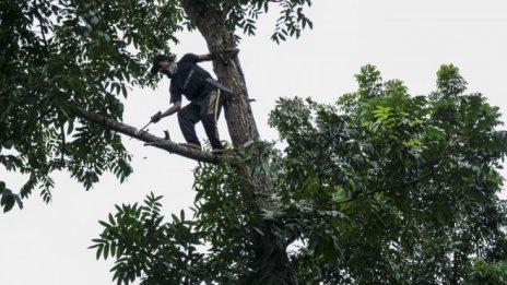 Големите технологични компании режат клона, на който седят