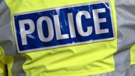 През 2016 г. в България е имало 335 полицаи на 100 хил. души население