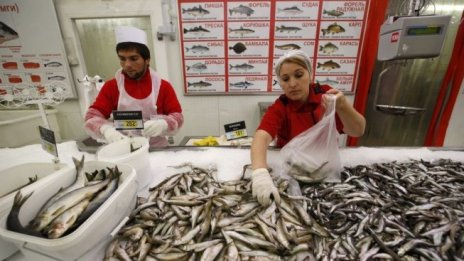 Производител: Време е да поставим фокус върху качествата на черноморската риба