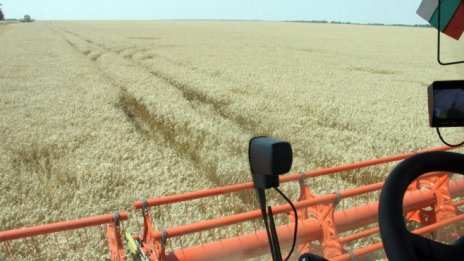 В началото на октомври цените на зърното на повечето пазари вървят нагоре