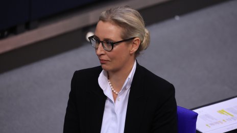 Макар и извън властта, "Алтернатива за Германия" вече е значима сила