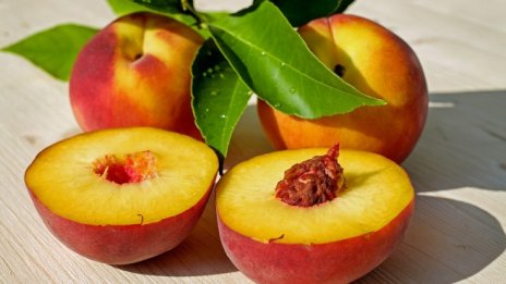 Какви са ползите за биопроизводителите от новия регистър?