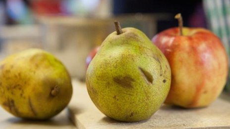 ЕК обединява схемите за училищно мляко и училищен плод