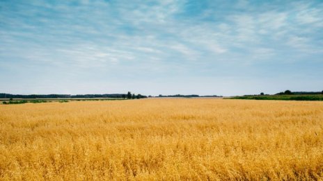 Инвестициите в земеделска земя се разрастват  