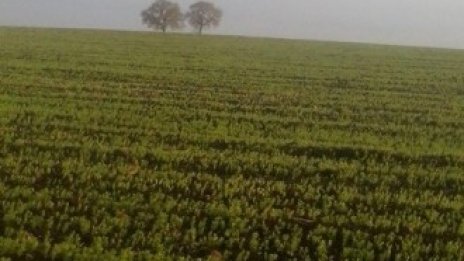 Адванс Терафонд е продал 7 212 дка през 2015 при 1 373 лв.