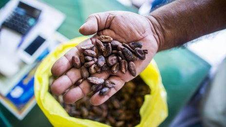 Цената на какаото достигна 4-месечно дъно*