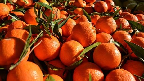 Цените на хранителни стоки на едро продължават да се повишават