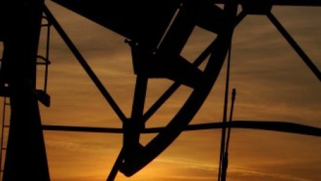 ОПЕК прогнозира слабо забавяне на ръста на търсенето на петрол за 2012 г.