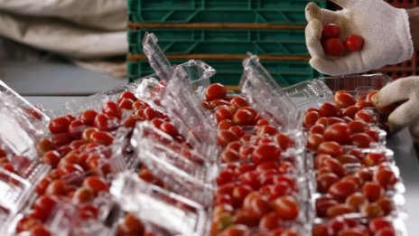 Как ще усвоява евросредства агробизнесът през 2014 г.?